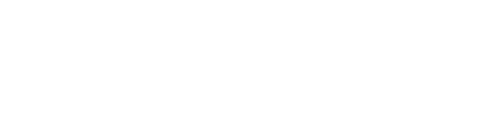 Noosa Sports Chiropractic Logo